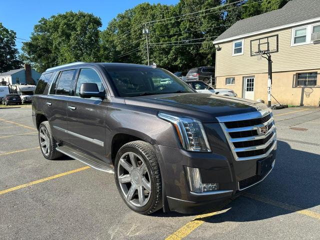 1GYS4BKJ0GR113669 | 2016 Cadillac escalade luxury