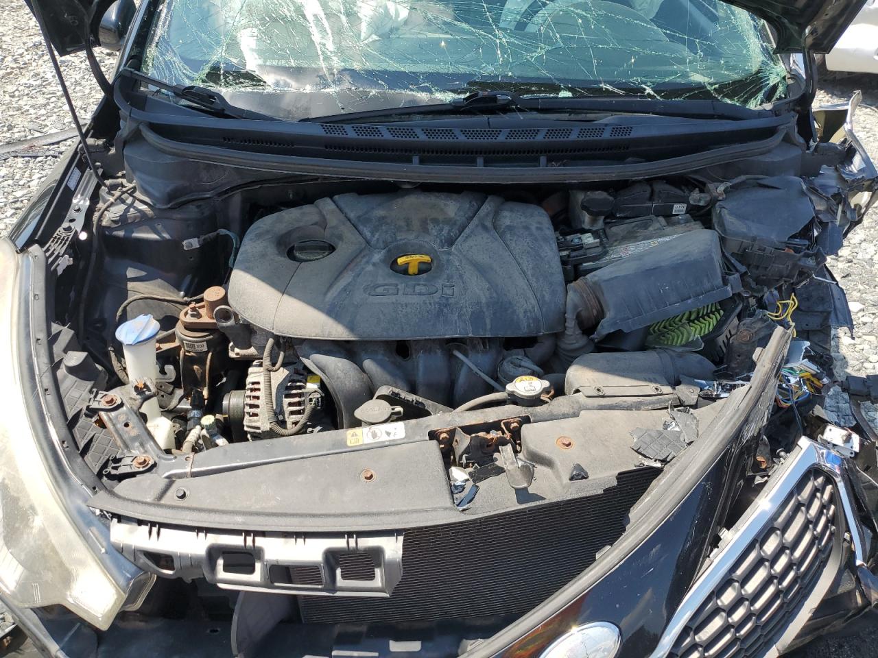 2014 Kia Forte Ex VIN: KNAFX4A89E5118377 Lot: 63335494