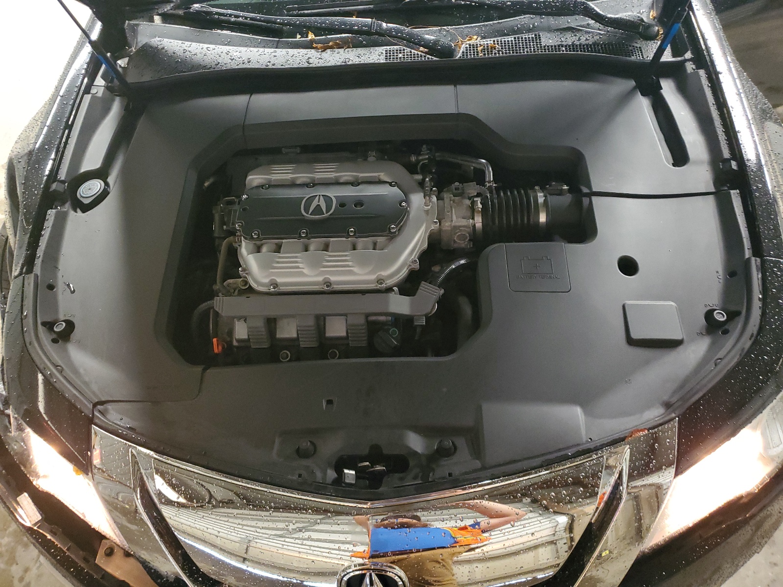 19UUA9E53AA001101 2010 Acura Tl