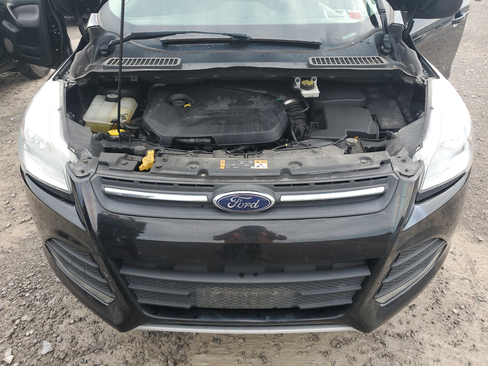 2014 Ford Escape Se vin: 1FMCU9GX3EUD78446