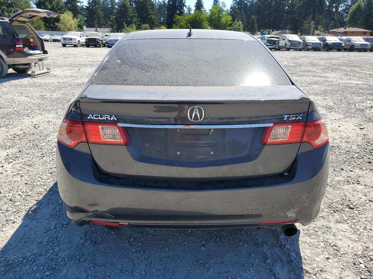 2011 Acura Tsx VIN: JH4CU2E63BC013576 Lot: 64640384