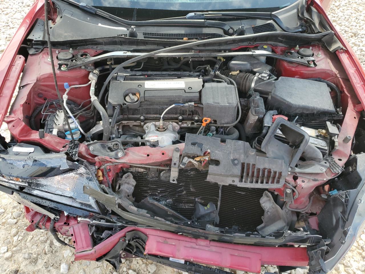 1HGCT1B84EA011843 2014 Honda Accord Exl 1HGCT1B84EA011843 2014 Honda Accord Exl
