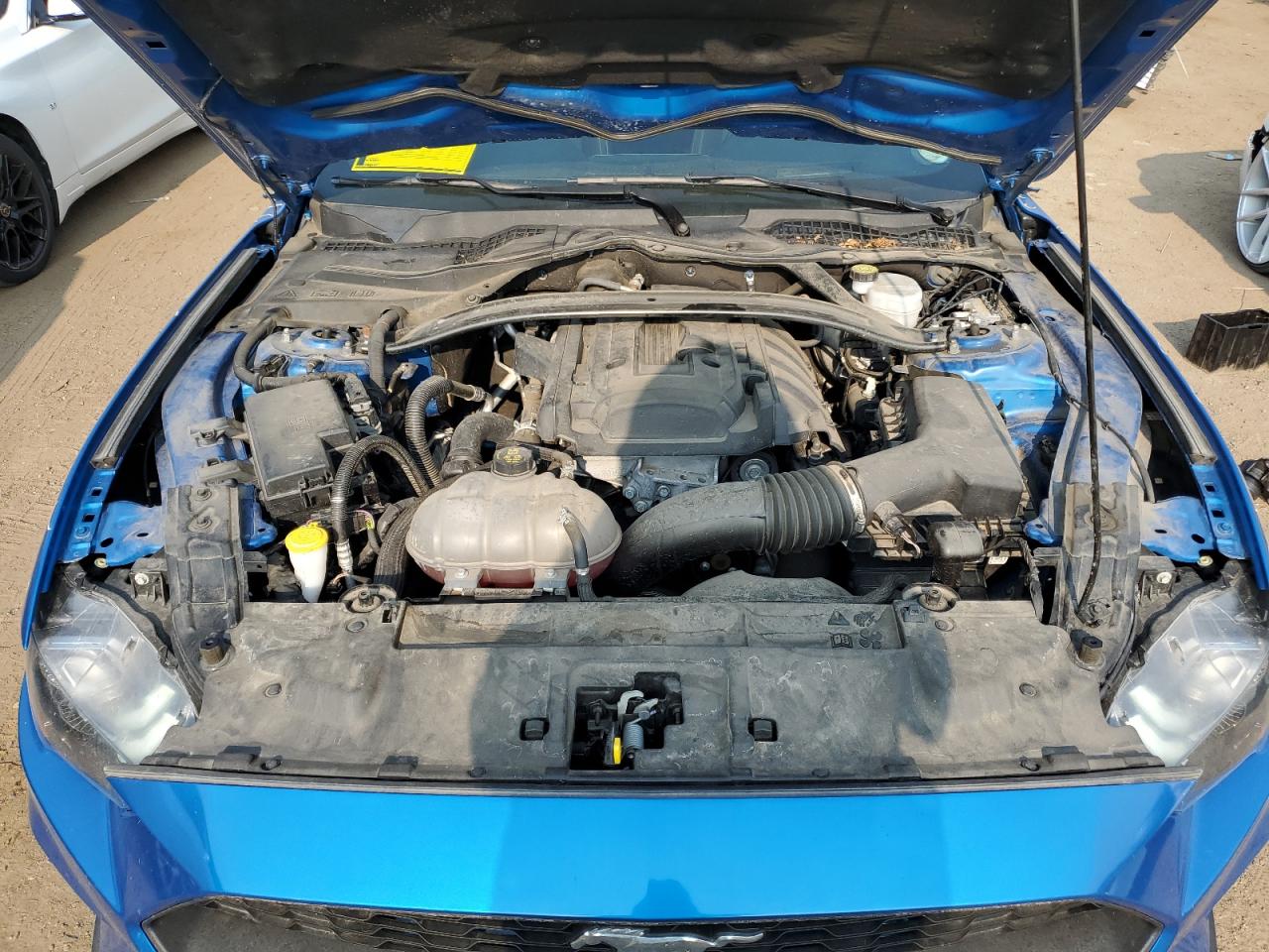 2019 Ford Mustang VIN: 1FA6P8TH4K5161260 Lot: 64629964