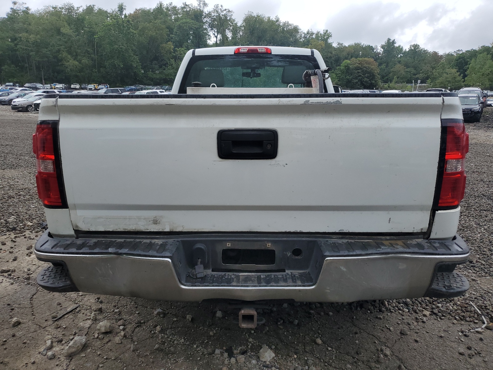 1GTN1LEC3HZ904374 2017 GMC Sierra C1500