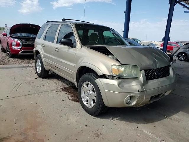 2007 Ford Escape Limited VIN: 1FMCU04197KA21895 Lot: 63543024