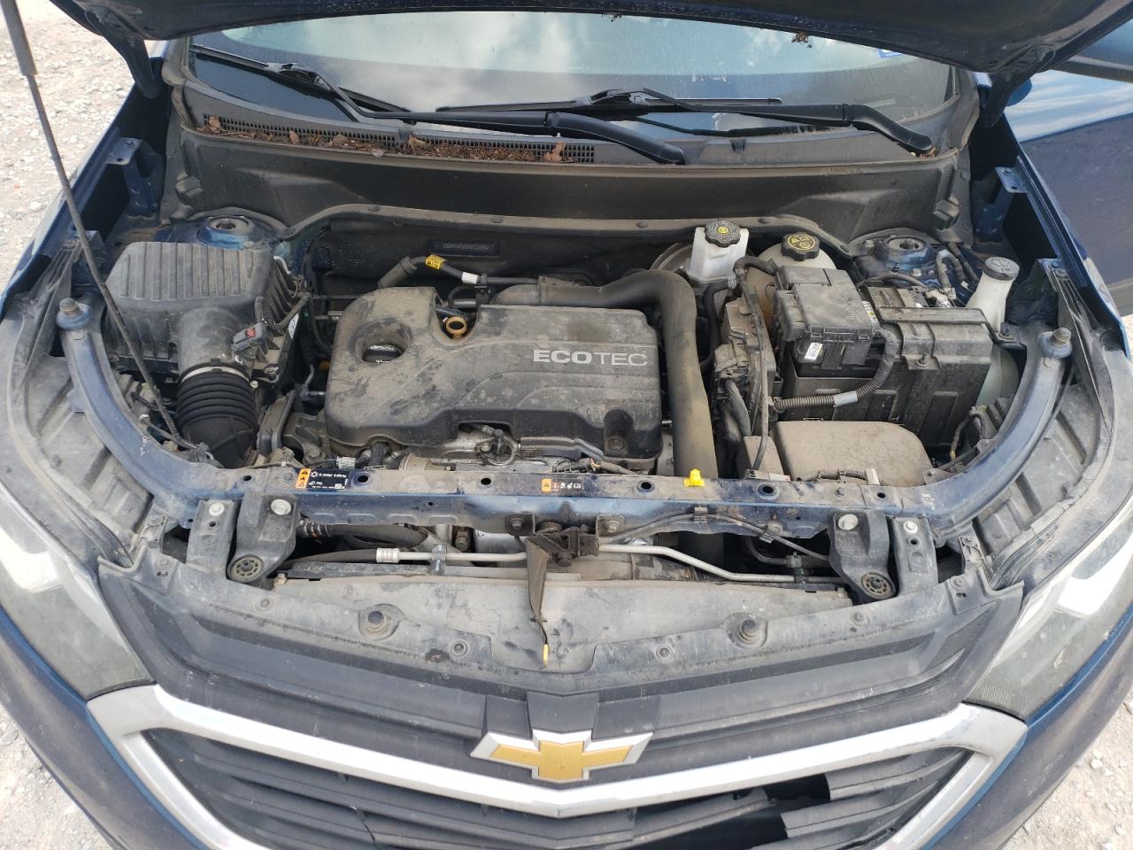 2019 Chevrolet Equinox Lt VIN: 2GNAXKEV8K6273656 Lot: 64555494