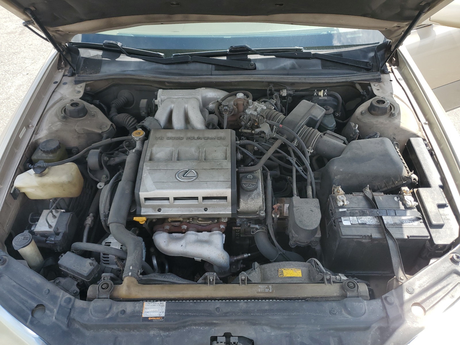 JT8BF22GXV0034871 1997 Lexus Es 300