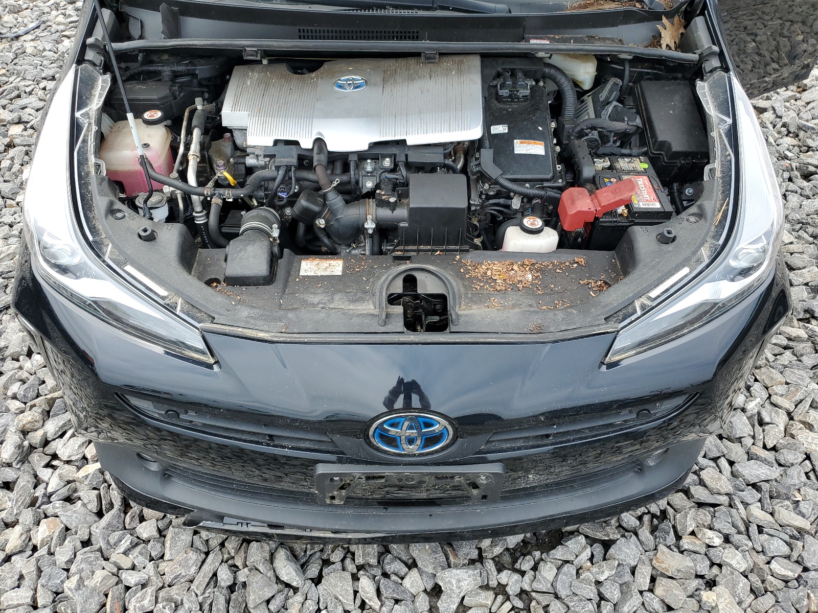JTDL9RFU8K3004722 2019 Toyota Prius