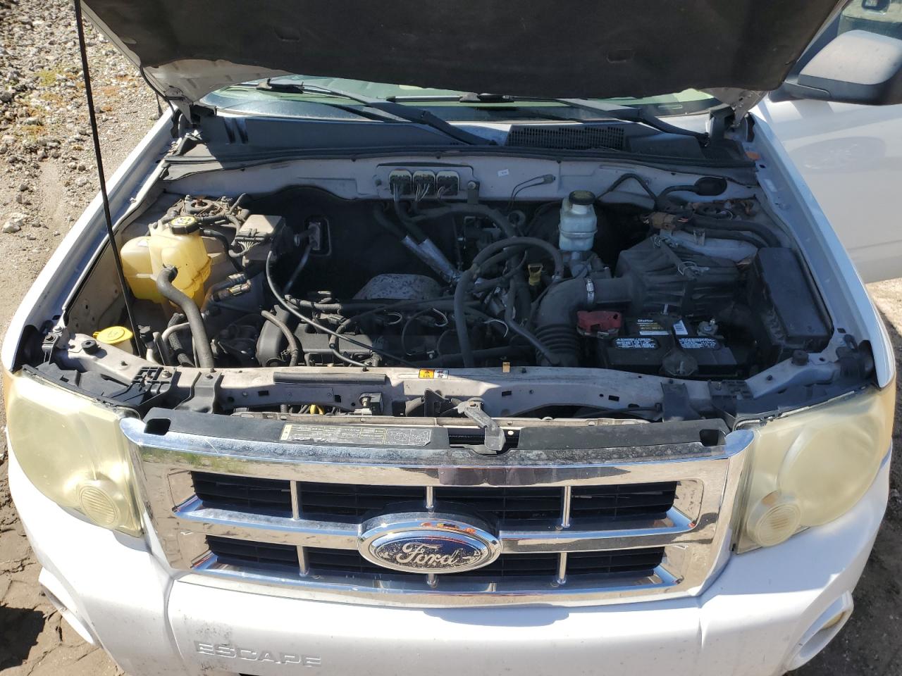 2008 Ford Escape Xlt VIN: 1FMCU03Z98KD91768 Lot: 63797134