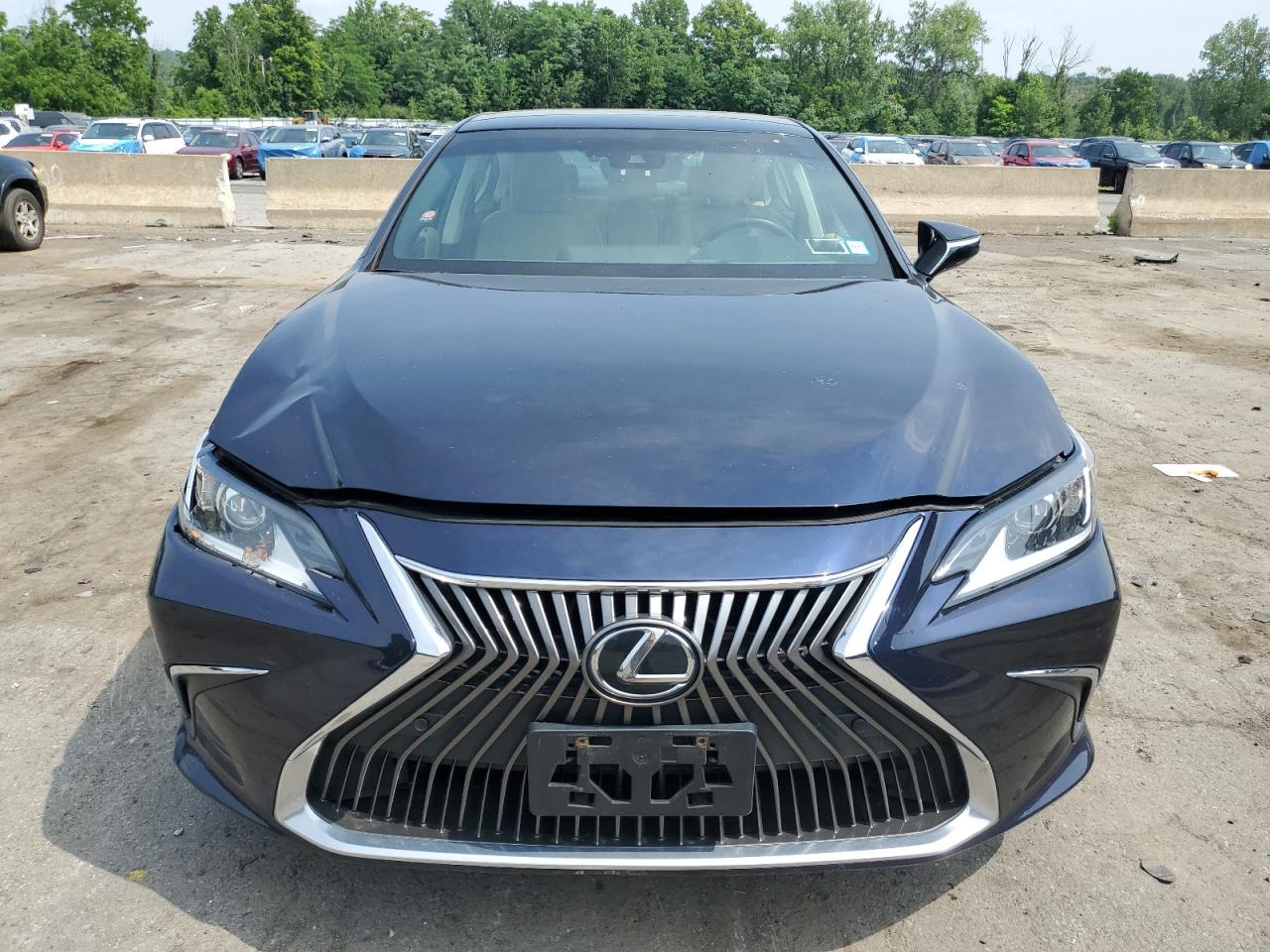 2019 Lexus Es 350 VIN: 58ABZ1B10KU019545 Lot: 61795304