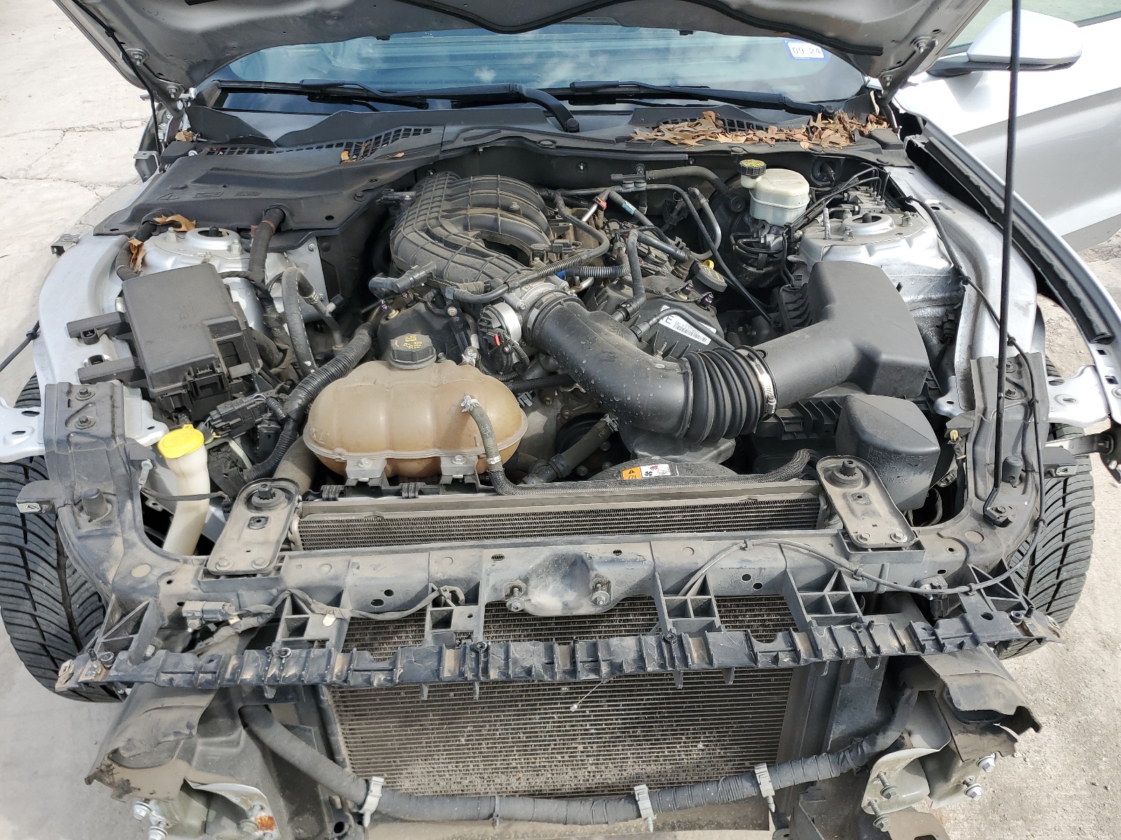 1FA6P8AMXF5372341 2015 Ford Mustang