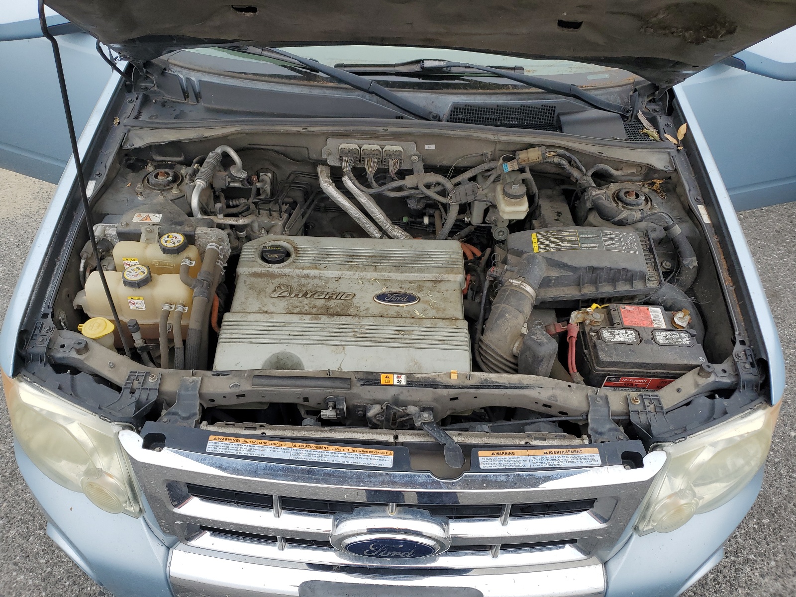 1FMCU59H38KC66552 2008 Ford Escape Hev