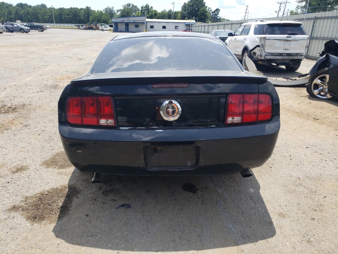 2009 Ford Mustang VIN: 1ZVHT80N095124223 Lot: 63419504