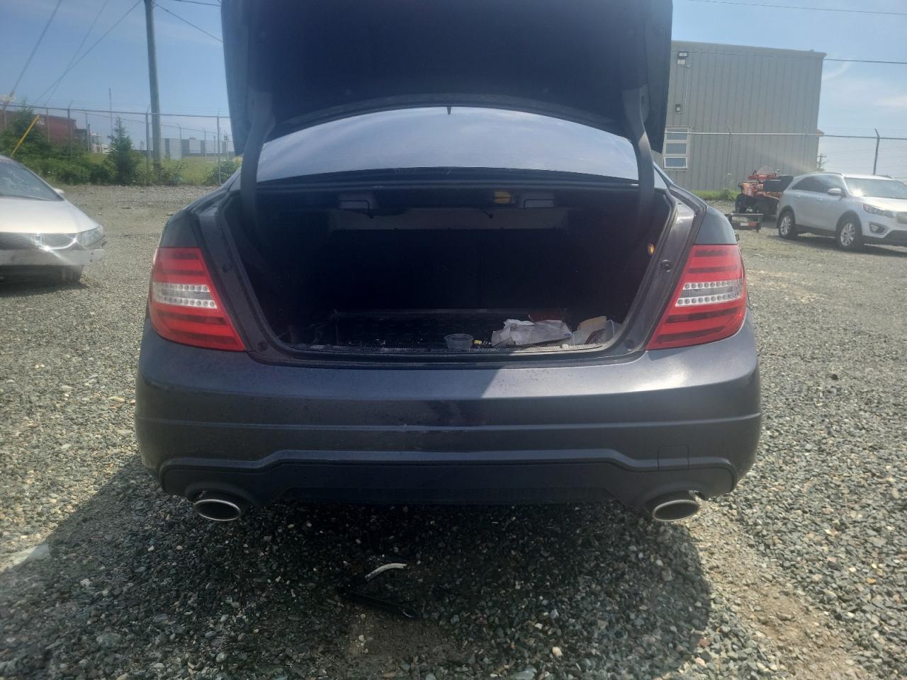 2013 Mercedes-Benz C 300 4Matic VIN: WDDGF8AB9DA875823 Lot: 62029004