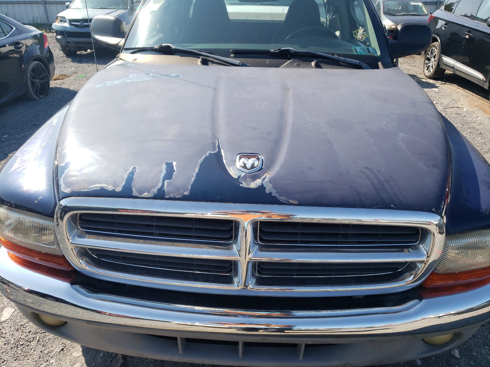 1B7GG42N52S615466 2002 Dodge Dakota Slt