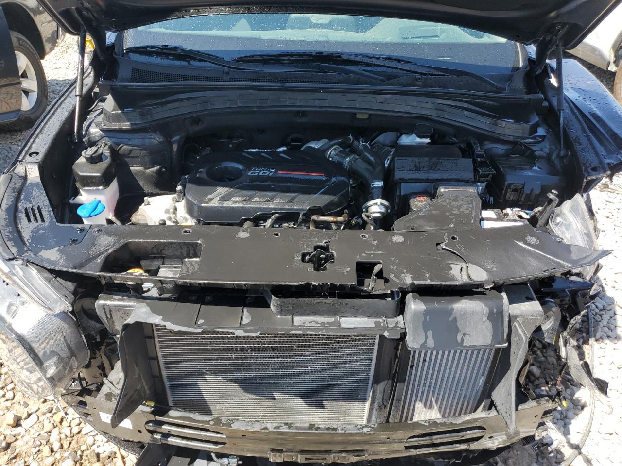 2020 Hyundai Santa Fe Limited VIN: 5NMS5CAA8LH297719 Lot: 62185874