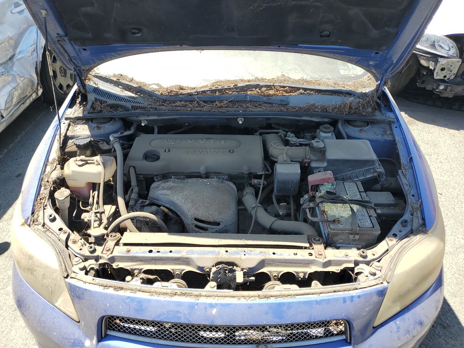 JTKDE167960138621 2006 Toyota Scion Tc