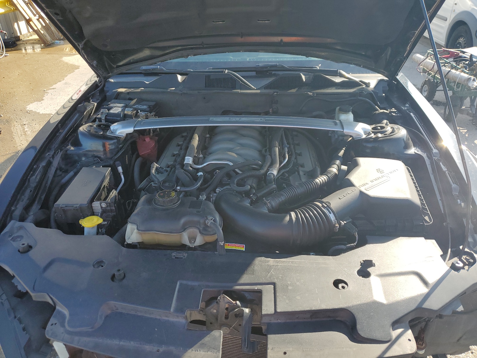 1ZVBP8CF2B5139956 2011 Ford Mustang Gt