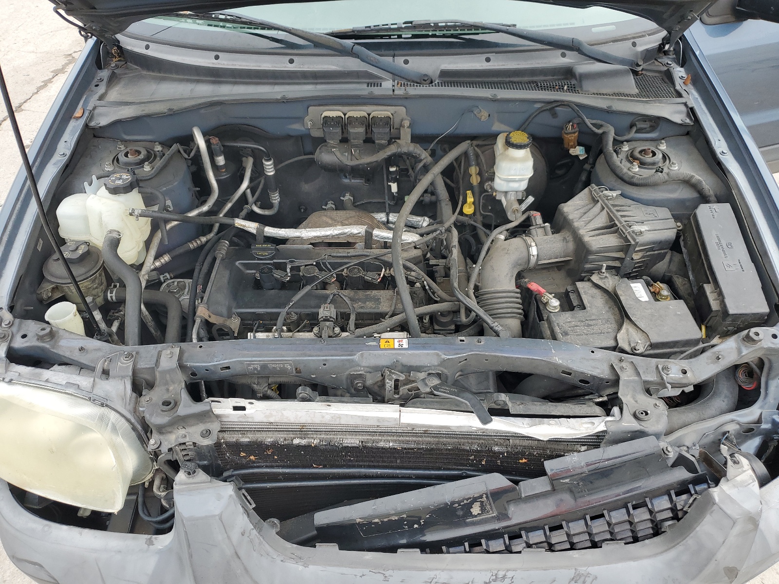 1FMYU92Z75KA30983 2005 Ford Escape Xls