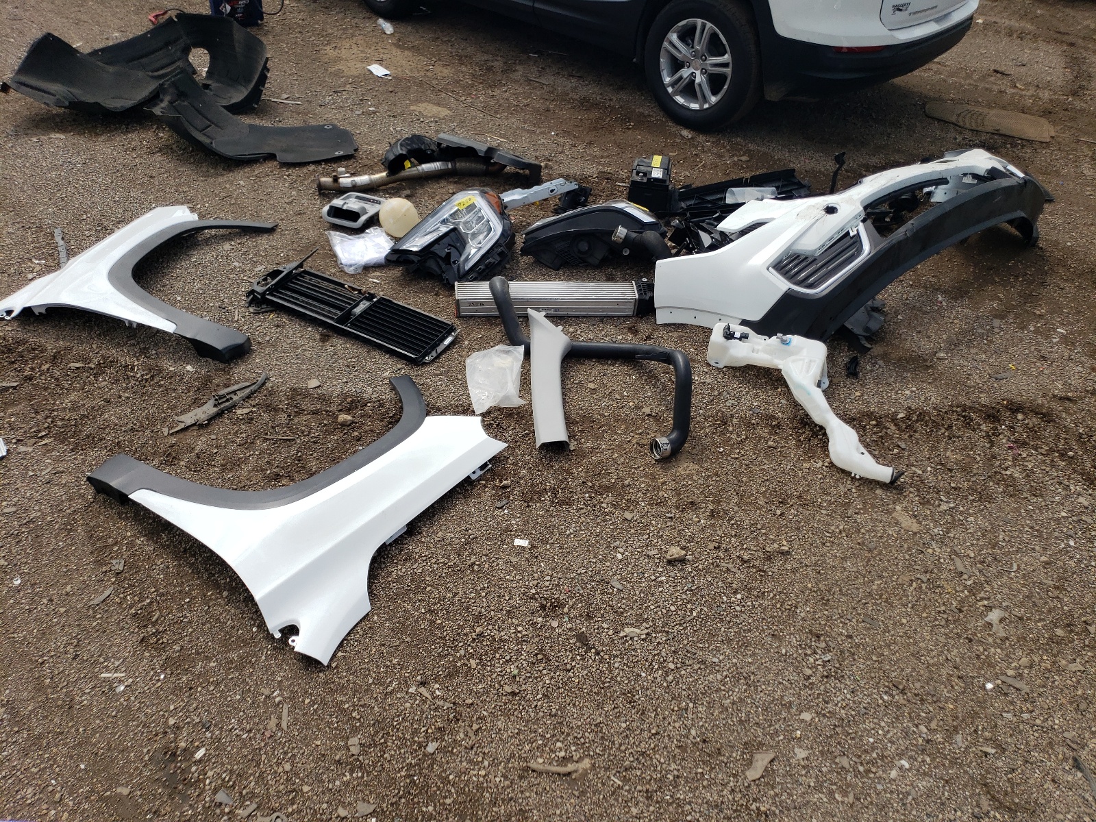 3GKALMEG5PL129278 2023 GMC Terrain Sle