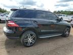 2012 Mercedes-Benz Ml 350 4Matic للبيع في Hillsborough، NJ - Front End