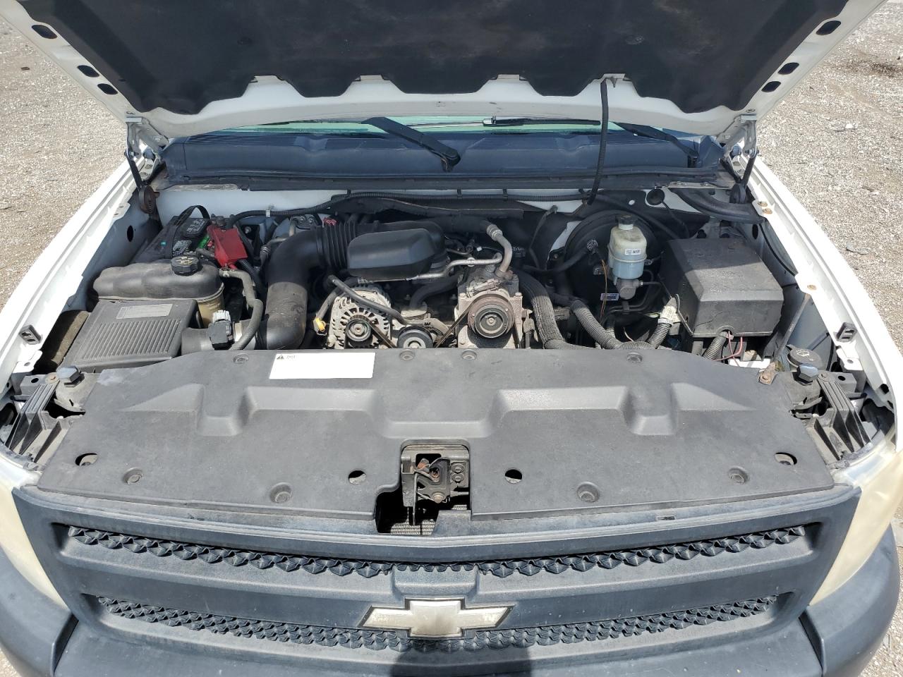 2011 Chevrolet Silverado C1500 VIN: 1GCRCPEX7BZ302168 Lot: 64548804