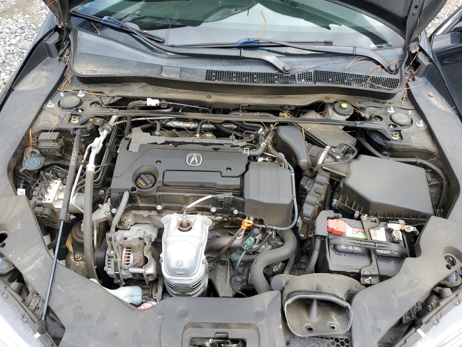 19UUB1F36KA009190 2019 Acura Tlx