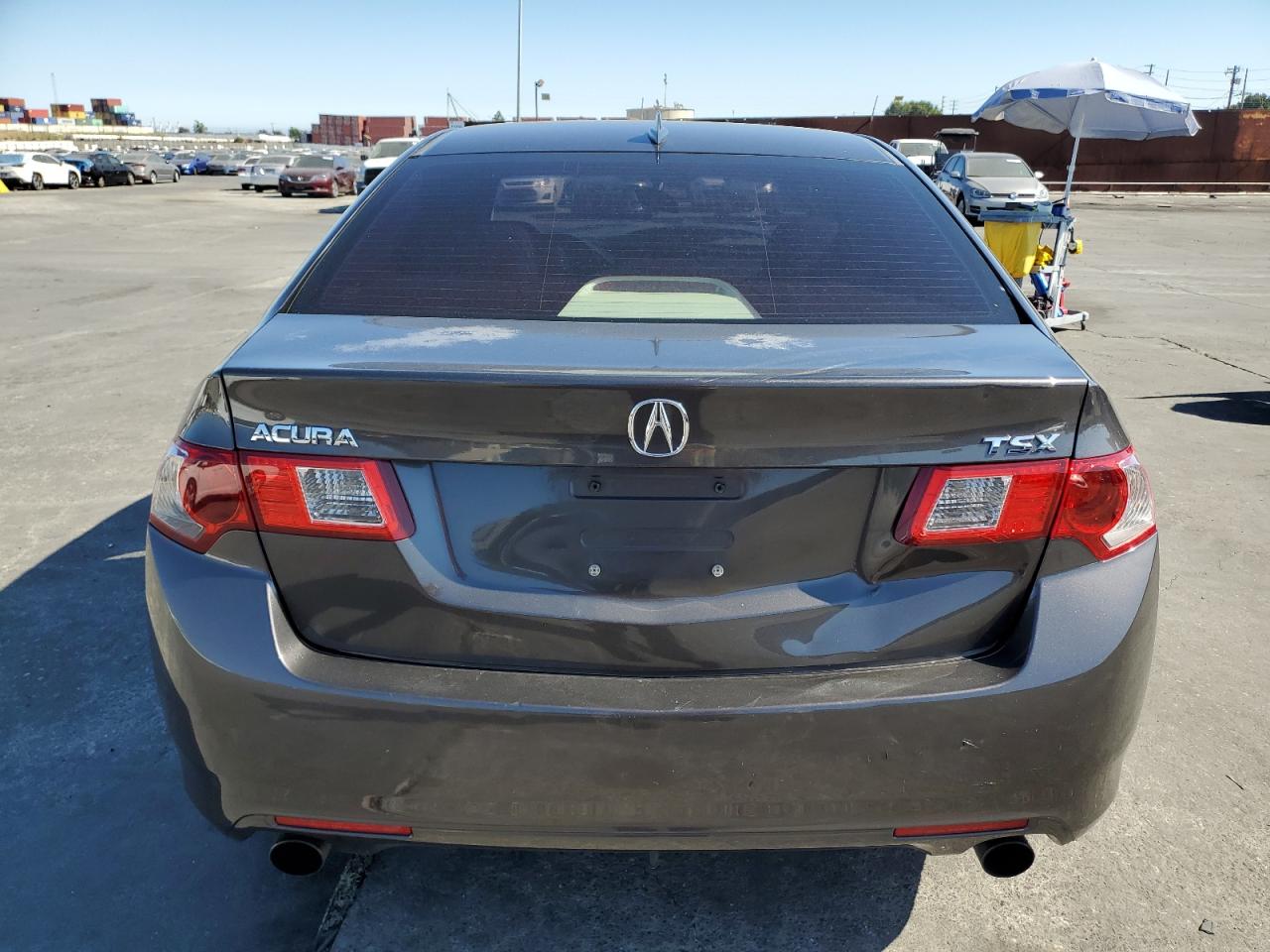 2009 Acura Tsx VIN: JH4CU26679C030325 Lot: 61550654