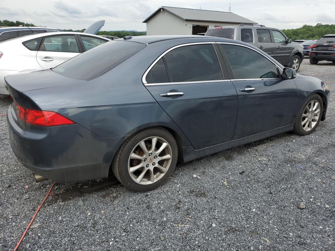 2006 Acura Tsx VIN: JH4CL96896C003992 Lot: 63816134