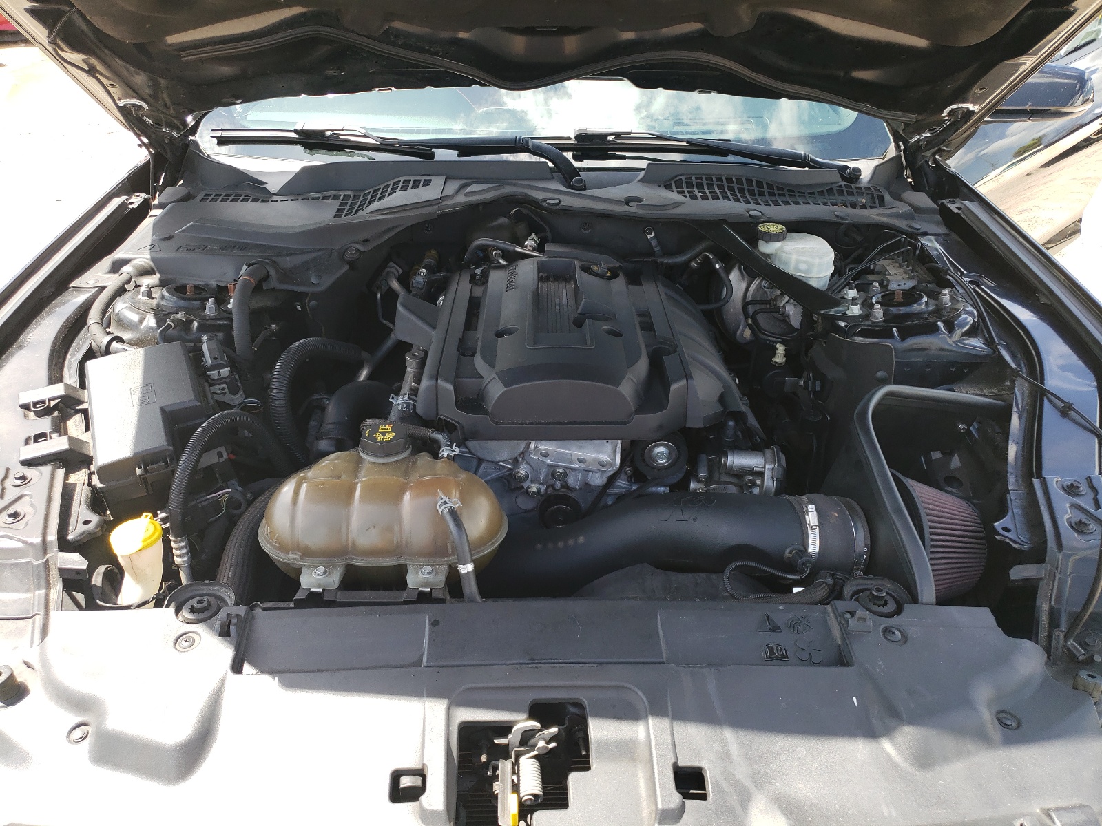 1FATP8UH9K5178623 2019 Ford Mustang