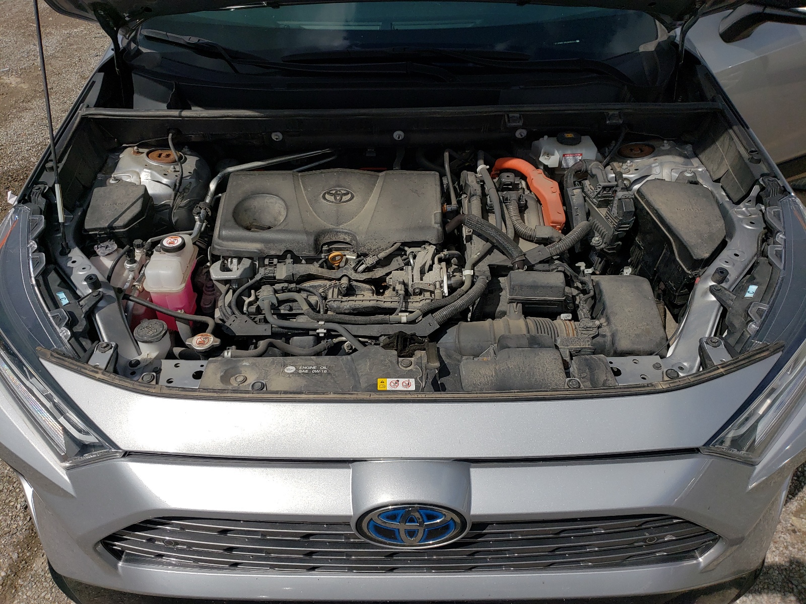 2T3RWRFV8LW086543 2020 Toyota Rav4 Xle