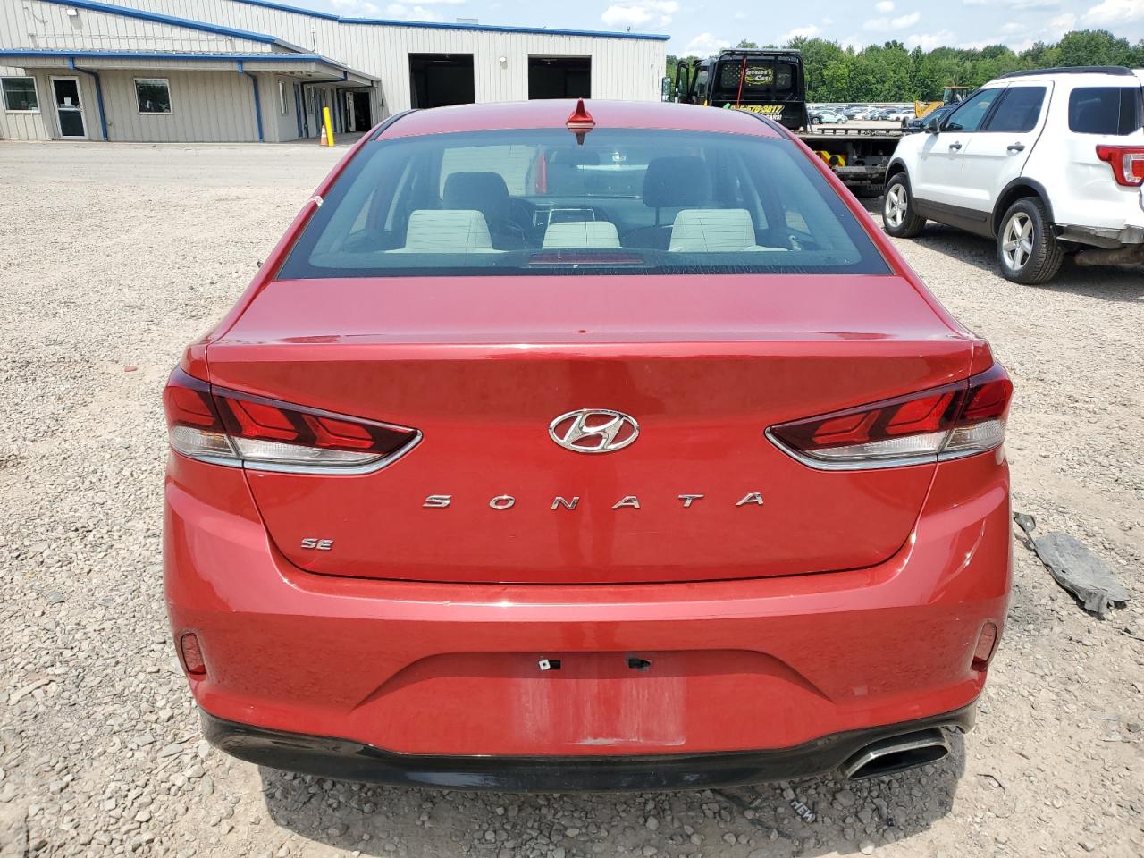 VIN 5NPE24AF2KH796329 2019 HYUNDAI SONATA no.6