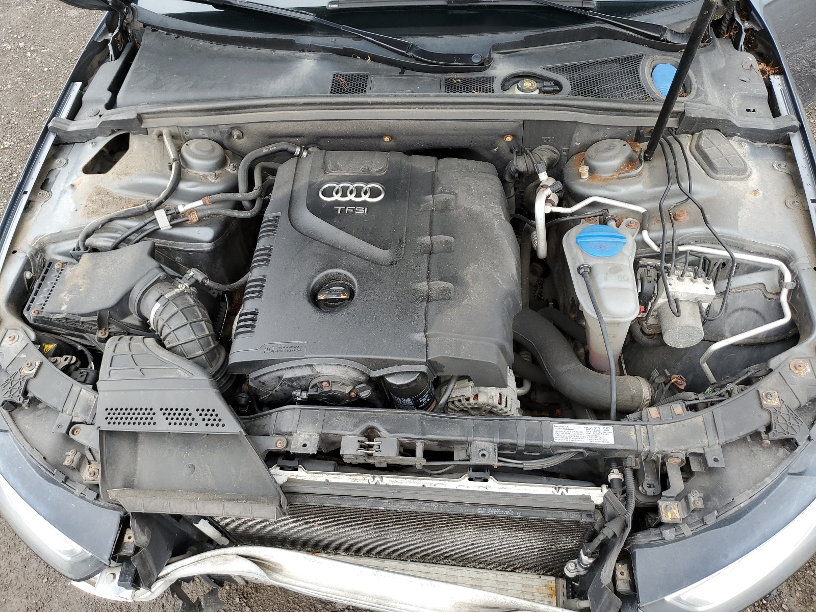 WAUFFCFL7DN017993 2013 Audi A4 Premium Plus