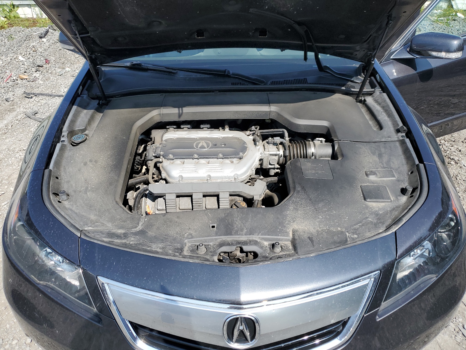 19UUA8F28EA000921 2014 Acura Tl