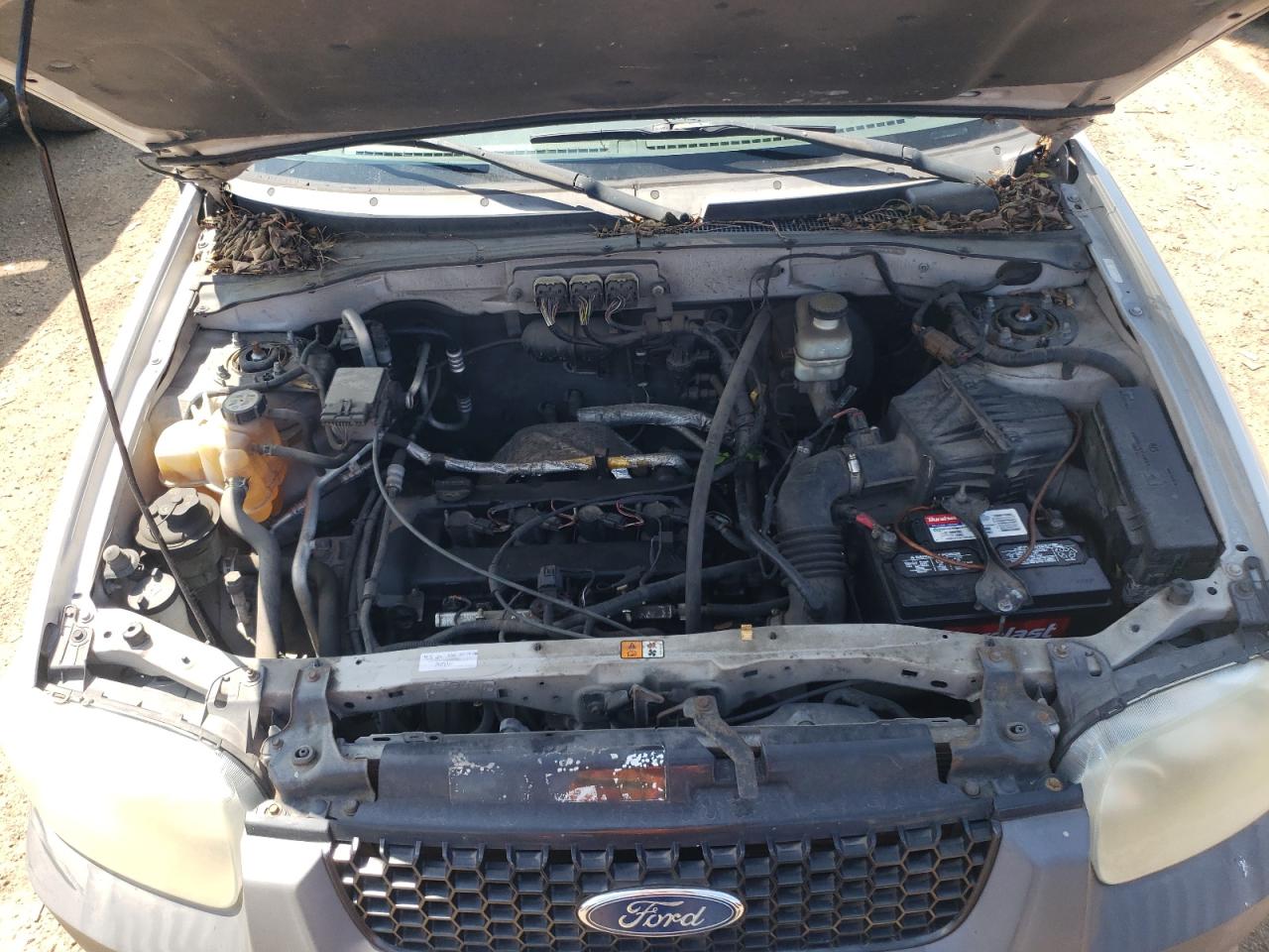 2007 Ford Escape Xlt VIN: 1FMYU03Z97KB89176 Lot: 63535014