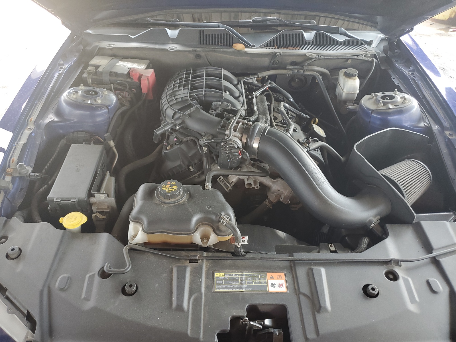 1ZVBP8AM0D5265477 2013 Ford Mustang