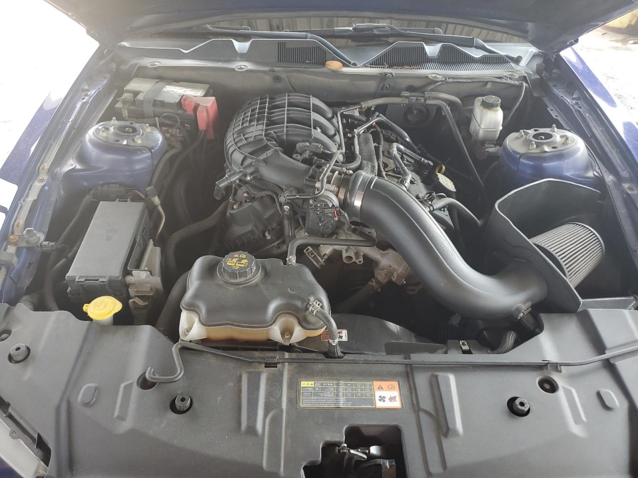 2013 Ford Mustang VIN: 1ZVBP8AM0D5265477 Lot: 62933804