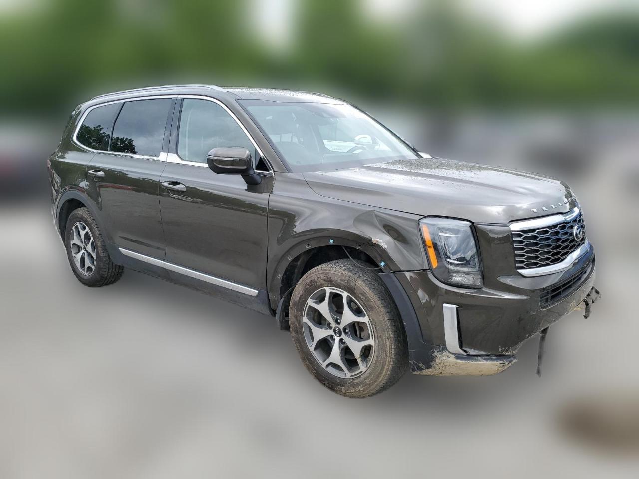 2020 Kia Telluride Ex VIN: 5XYP3DHC5LG026359 Lot: 62722394