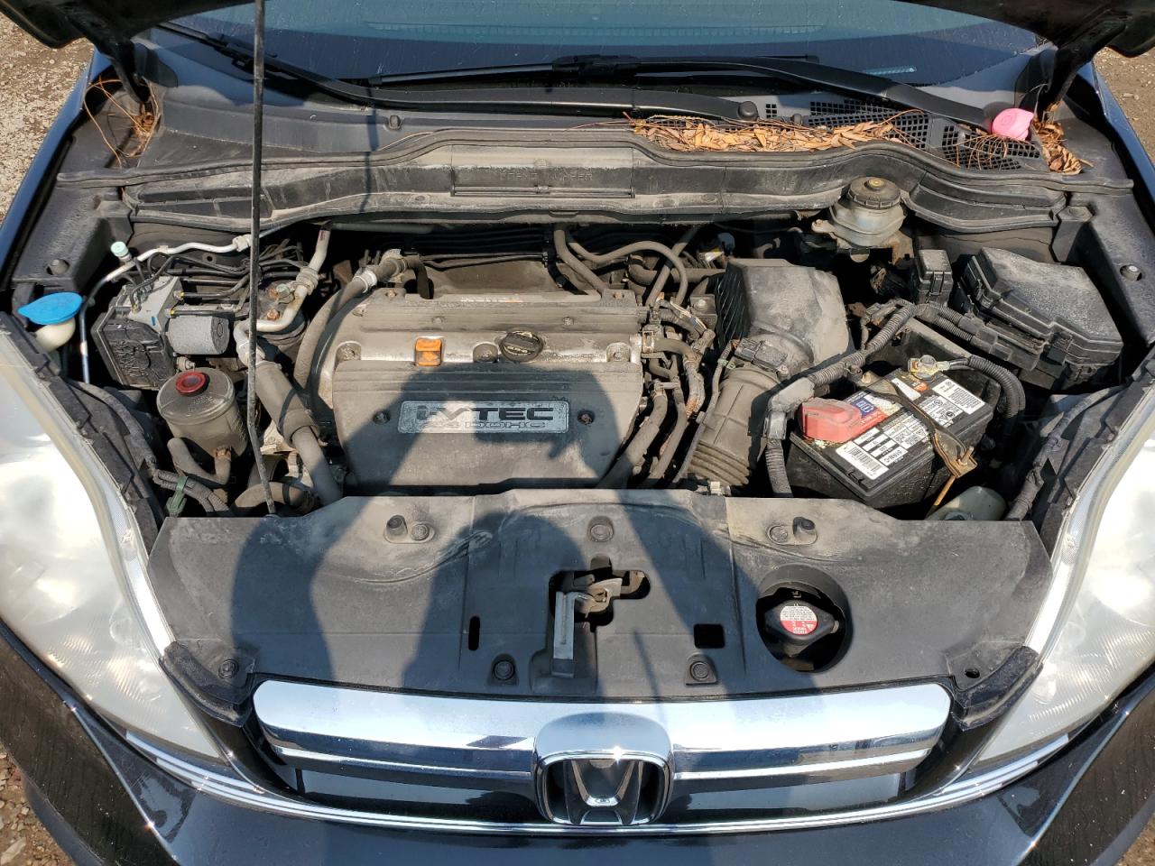 2007 Honda Cr-V Exl VIN: JHLRE38787C072863 Lot: 62693914