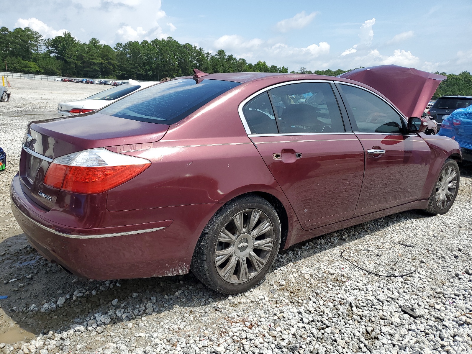 KMHGC46E59U051317 2009 Hyundai Genesis 3.8L