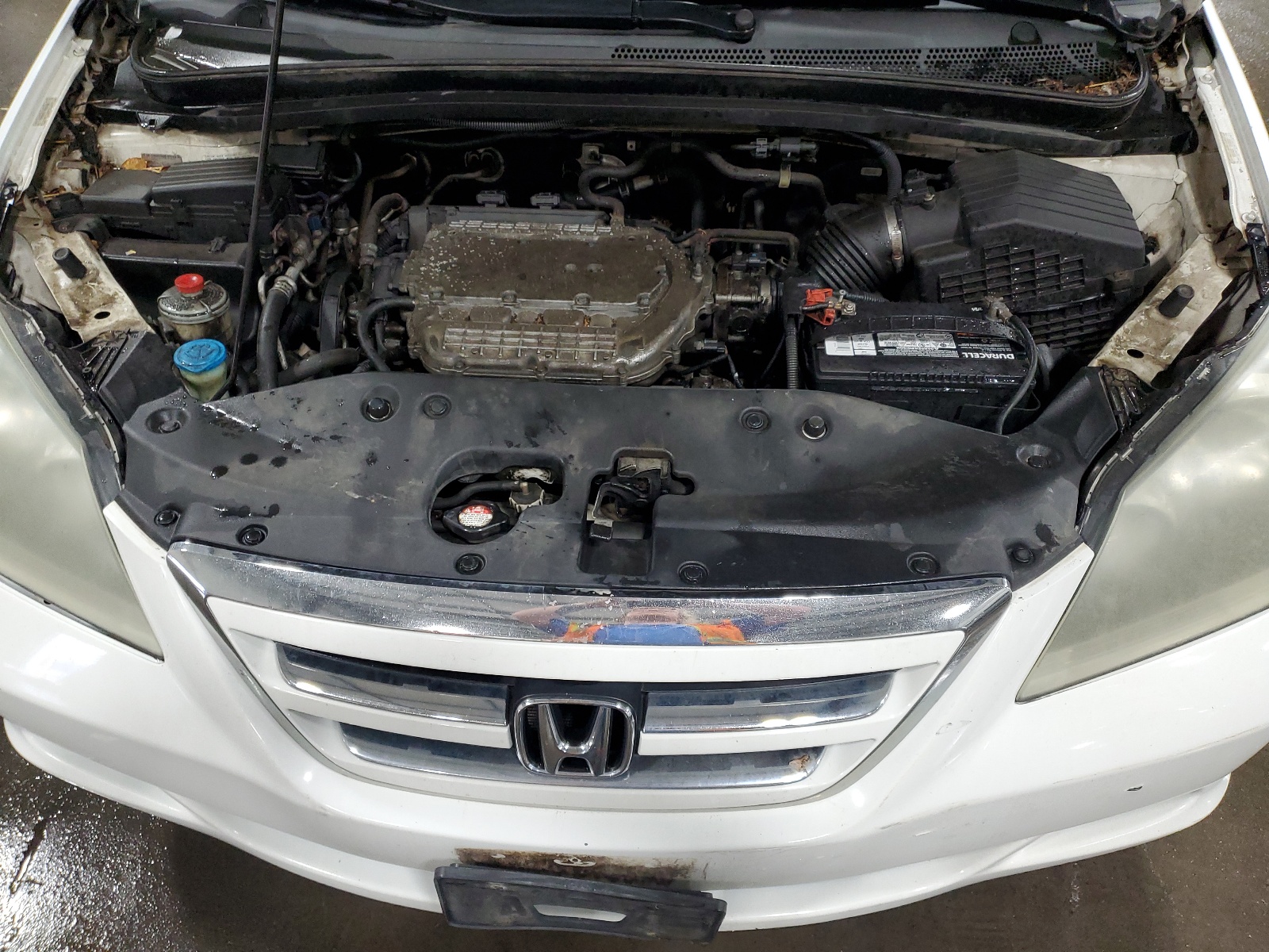 5FNRL38687B459765 2007 Honda Odyssey Exl