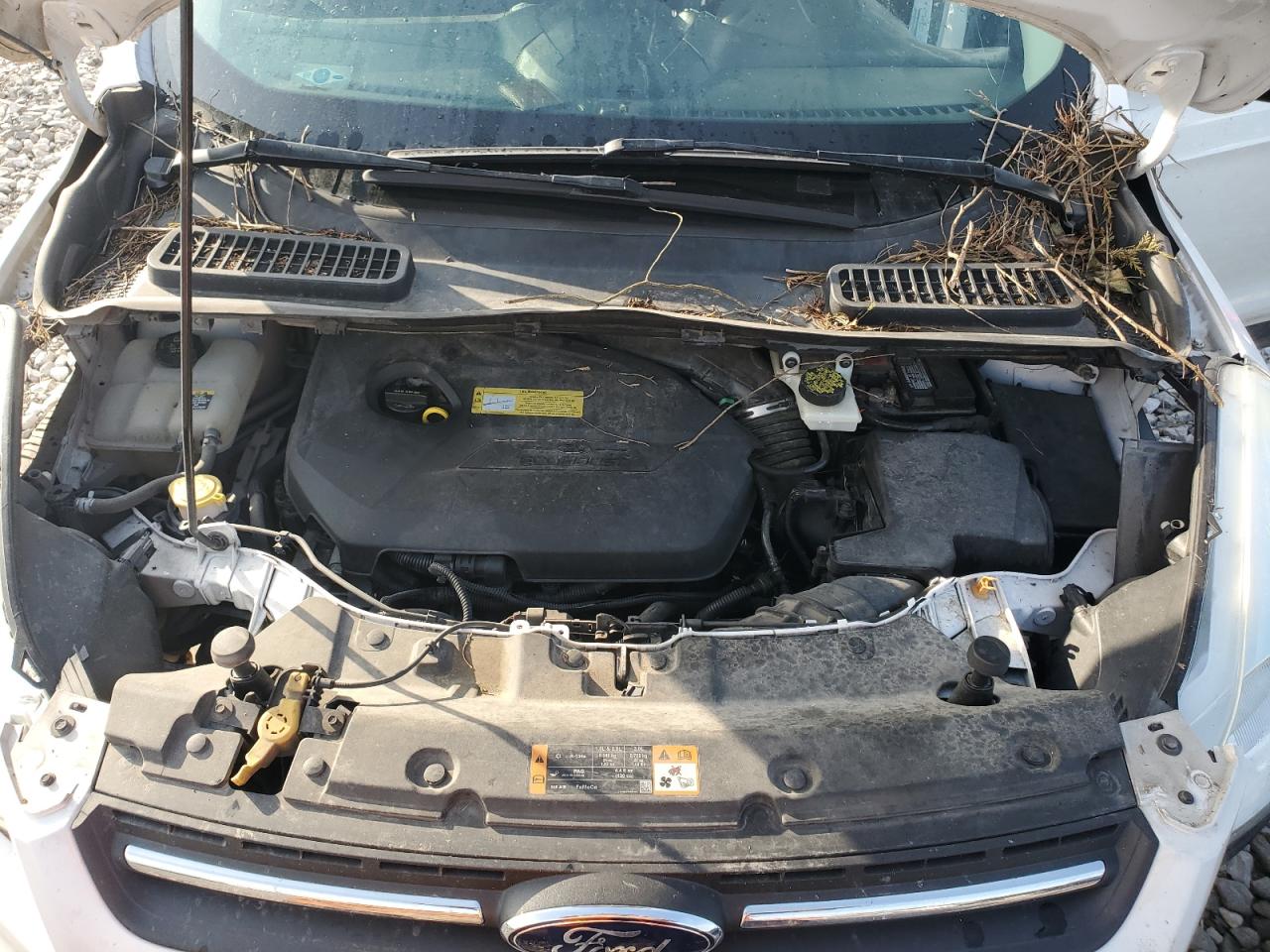 2013 Ford Escape Se VIN: 1FMCU0GX0DUD10017 Lot: 65127044