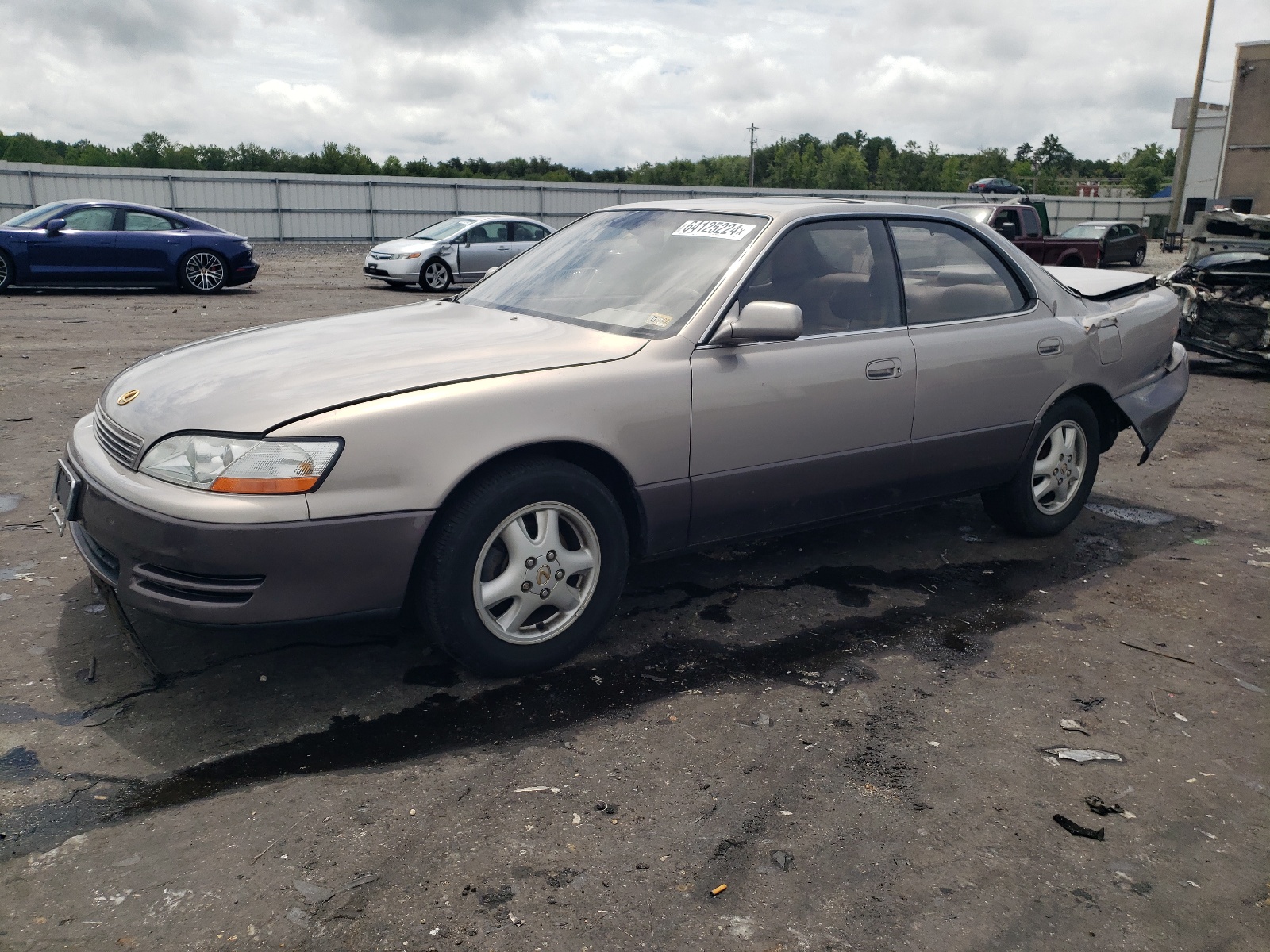 JT8VK13T9N0086636 1992 Lexus Es 300