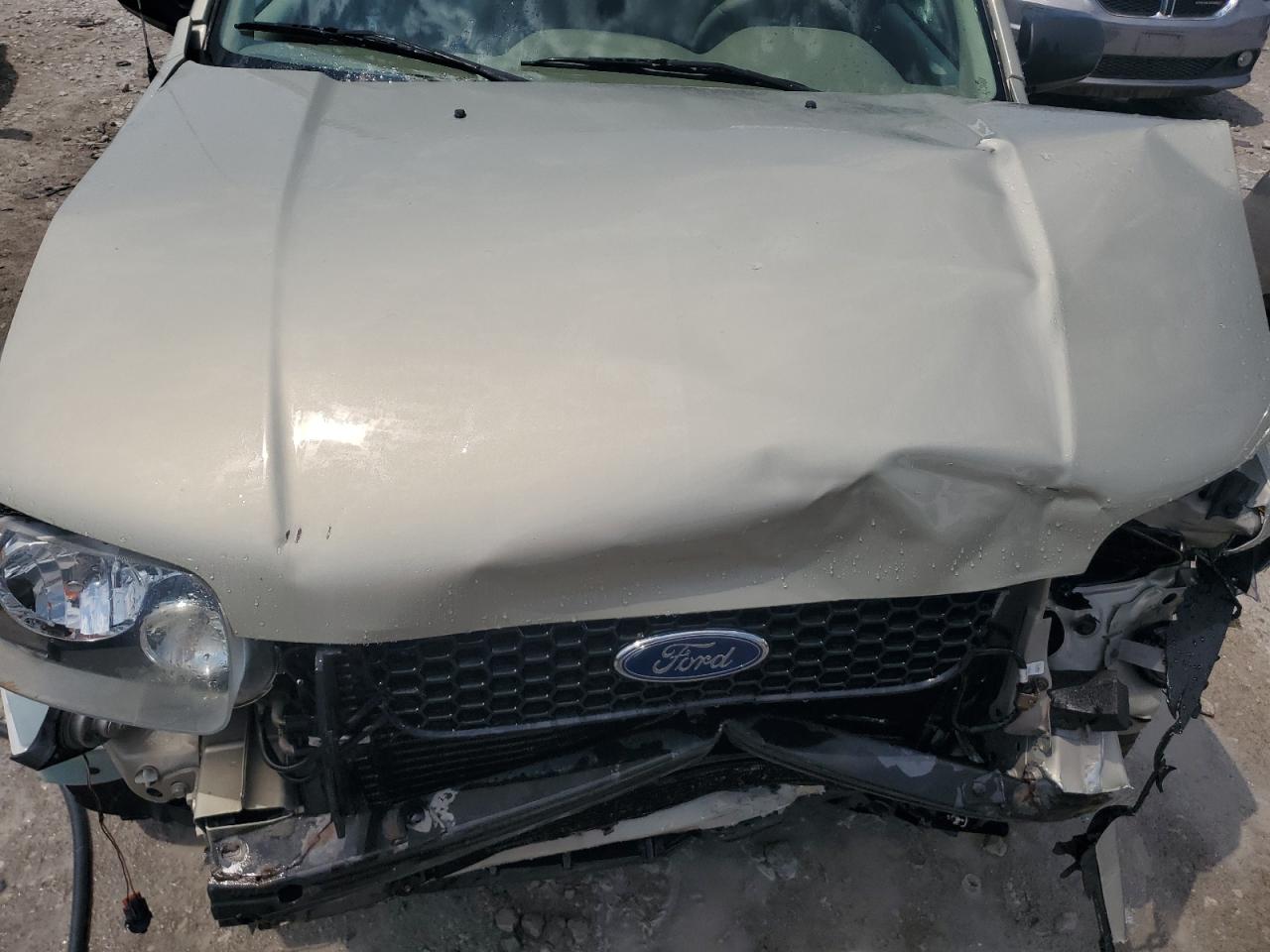 2005 Ford Escape Xlt VIN: 1FMYU03Z15KD75498 Lot: 65254944