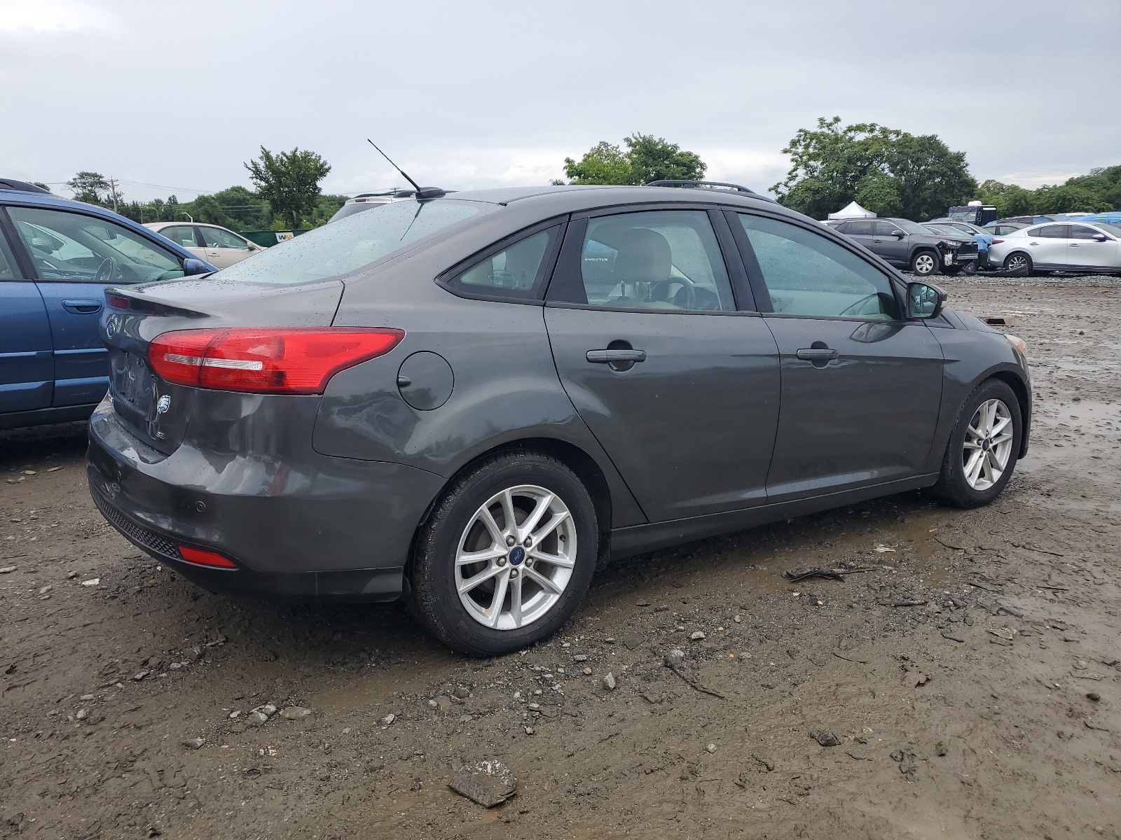 2016 Ford Focus Se vin: 1FADP3F23GL256591