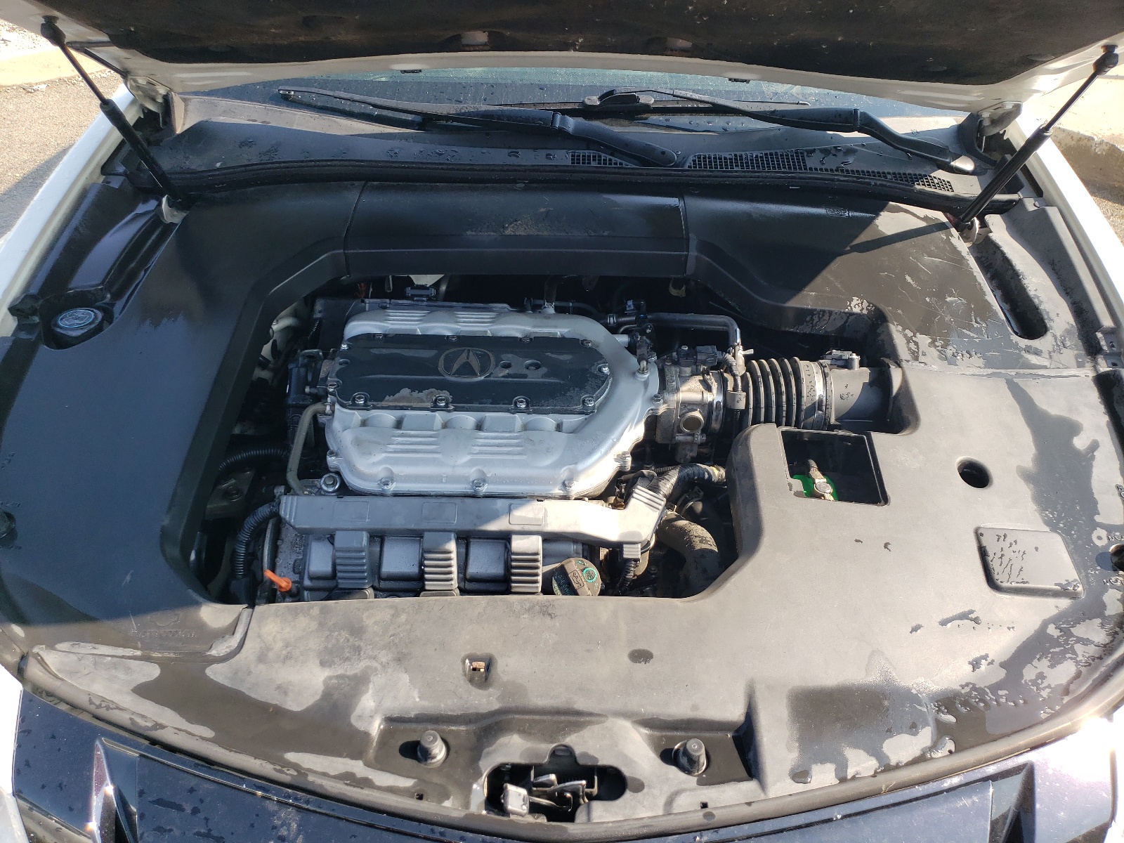 19UUA8F56BA005038 2011 Acura Tl