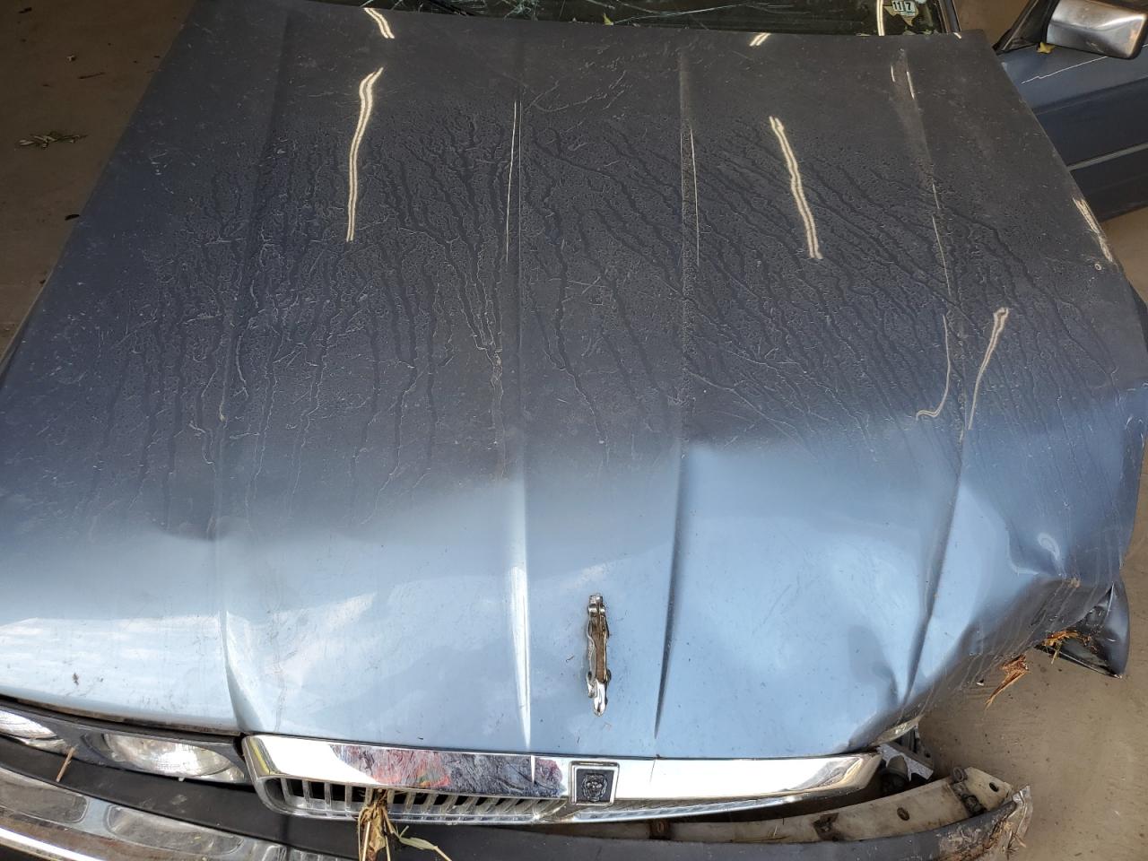 1988 Jaguar Xj6 VIN: SAJHV1640JC528773 Lot: 63684974