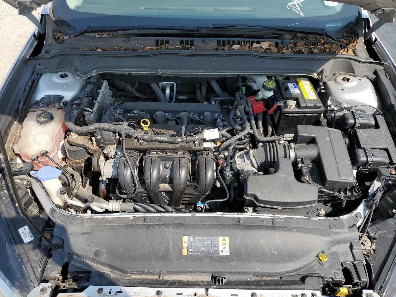 3FA6P0H75DR117799 2013 Ford Fusion Se