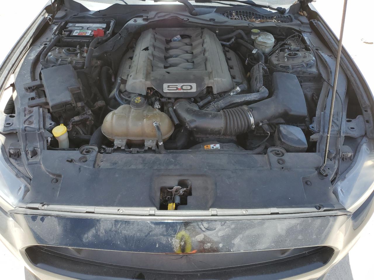 2015 Ford Mustang Gt VIN: 1FA6P8CF0F5407807 Lot: 61754864