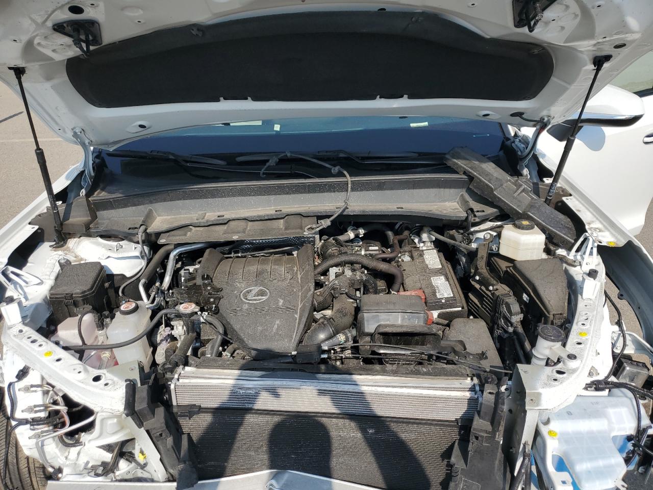 2024 Lexus Tx 350 Base VIN: 5TDAAAB67RS007157 Lot: 64941255